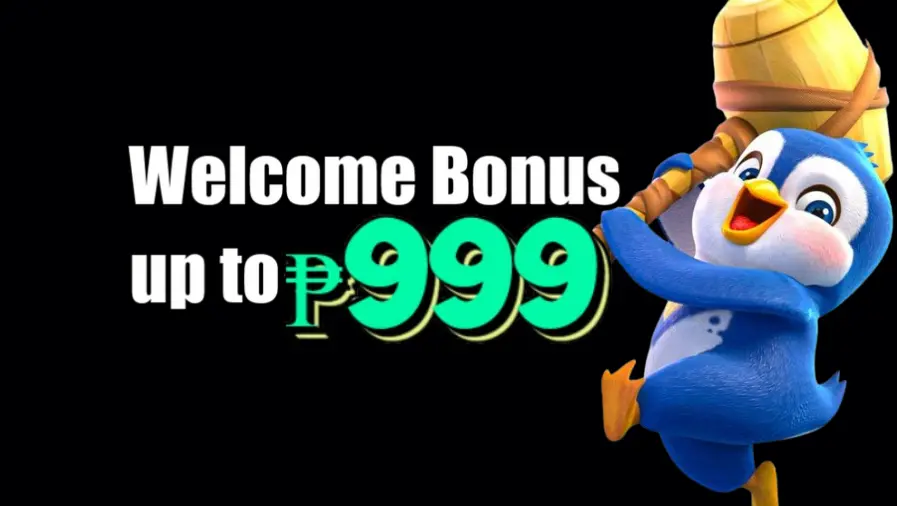 AA555 AA555